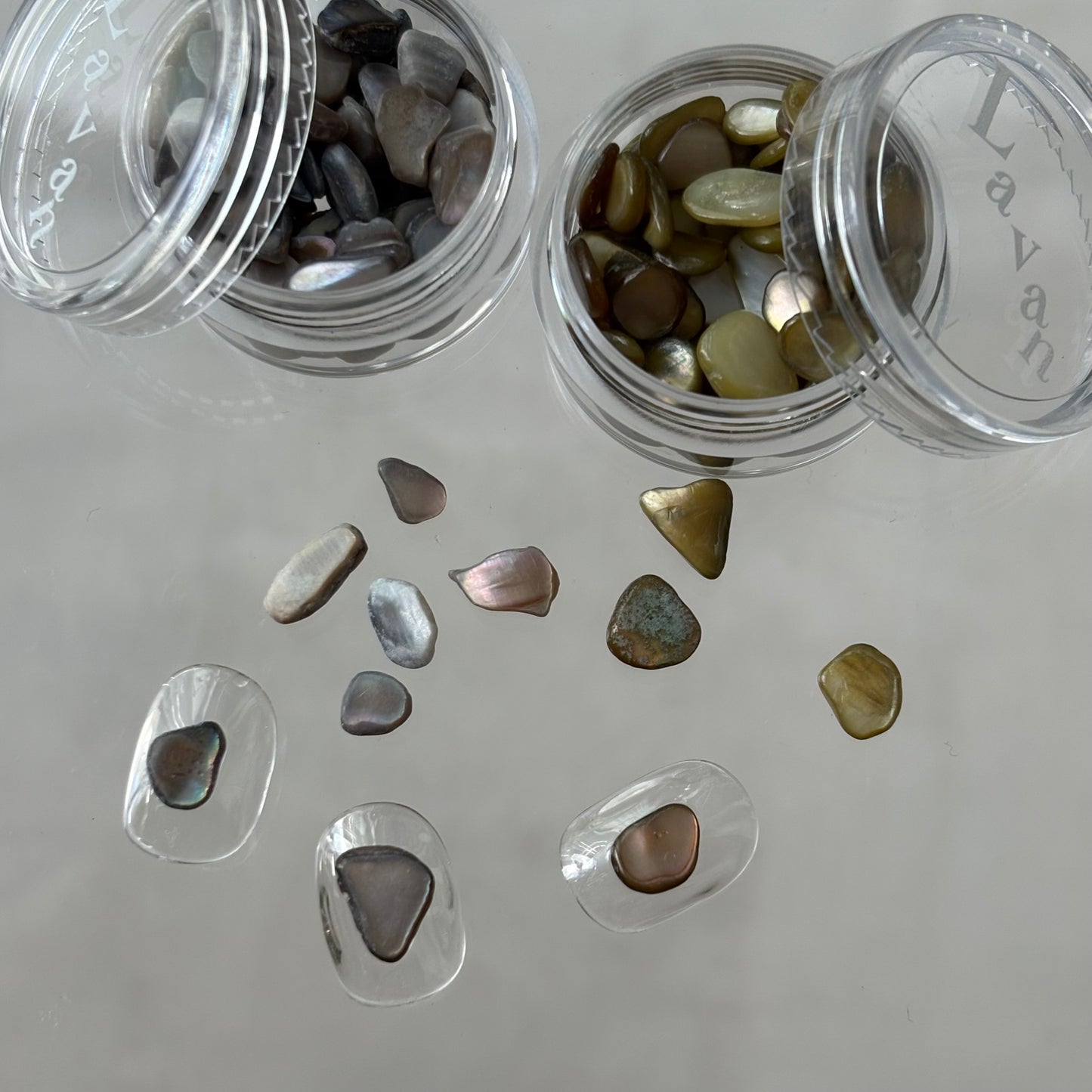 【即納品】 antique shell 2SET LVSN1329