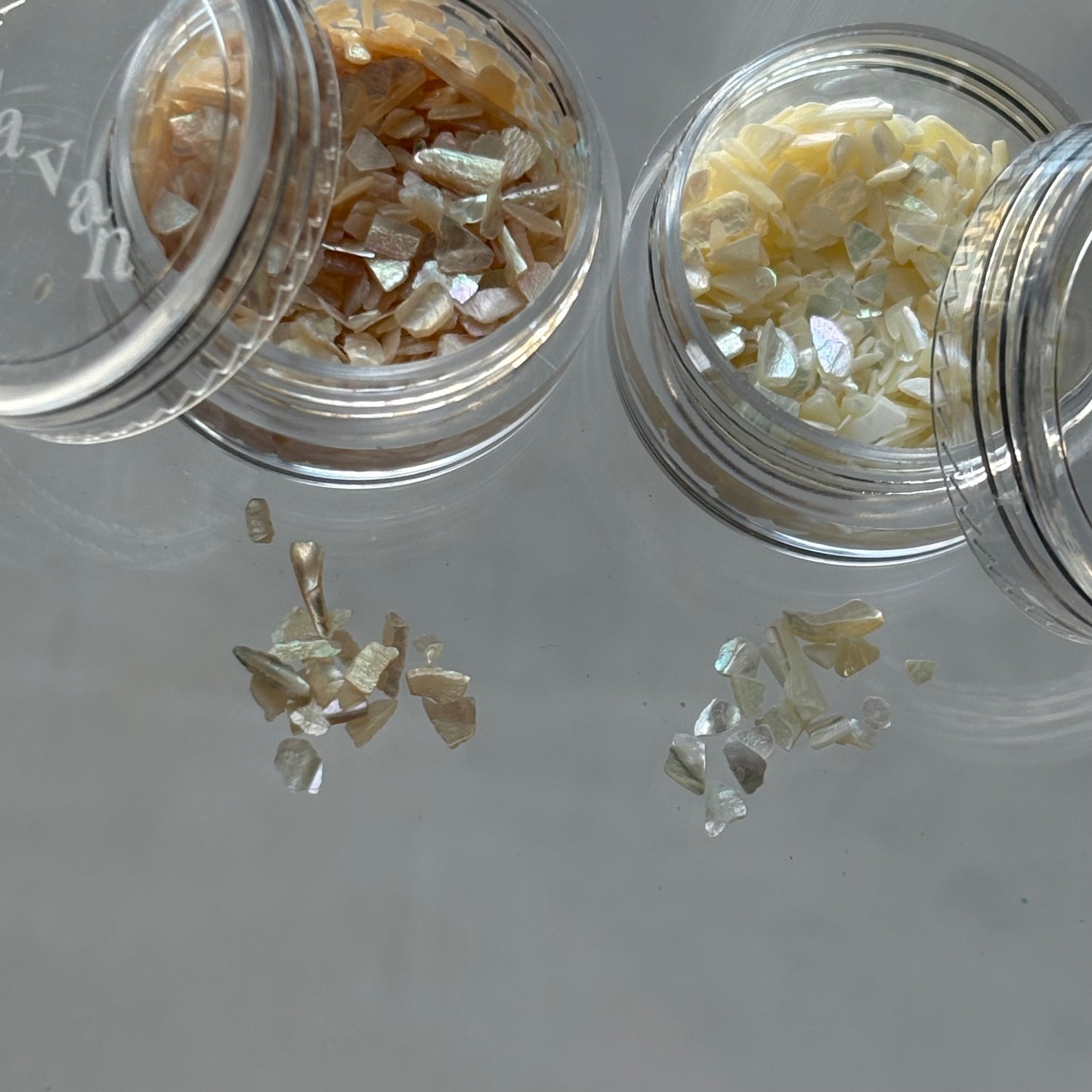 【即納品】 natural shell 2SET Ssize LVSN1324SH2