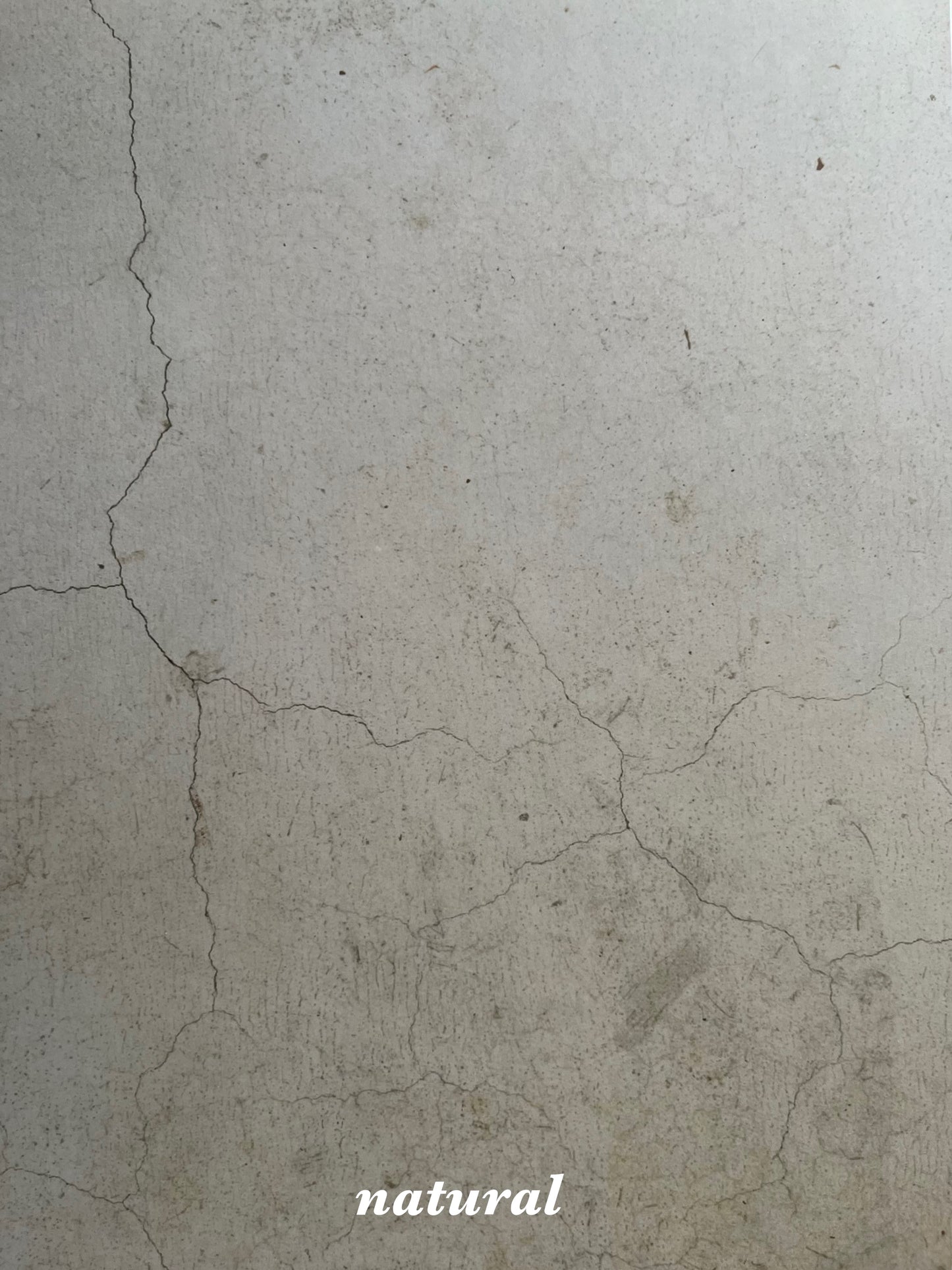 [Ready for immediate delivery] Outlet Natural Original Taste (OL) Large Size Natural A3size Photogenic Sheet 2set LVS123LOL