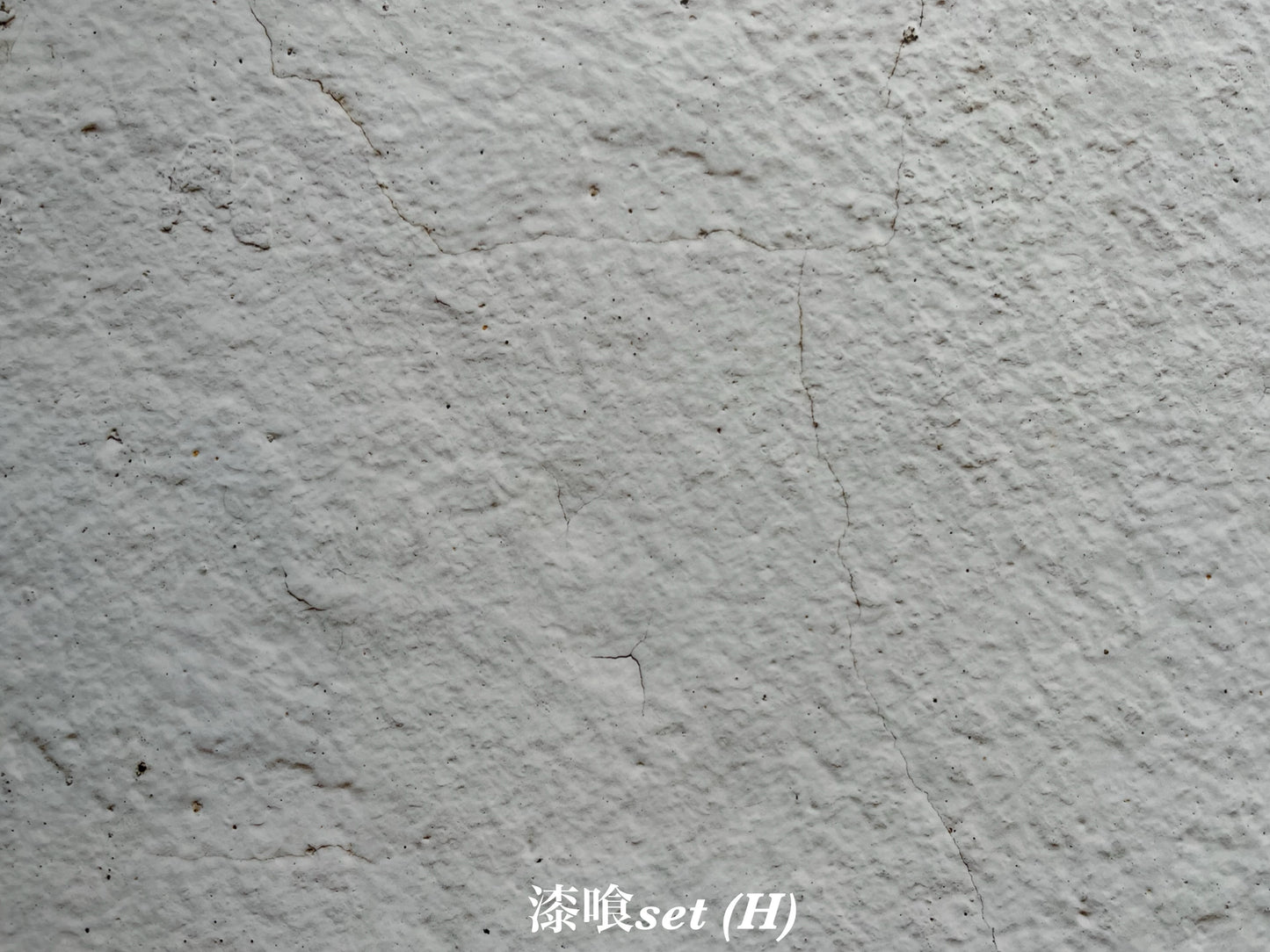 [Ready to ship] Plaster set (H) Large size A3size photogenic sheet 4set LVS122LH