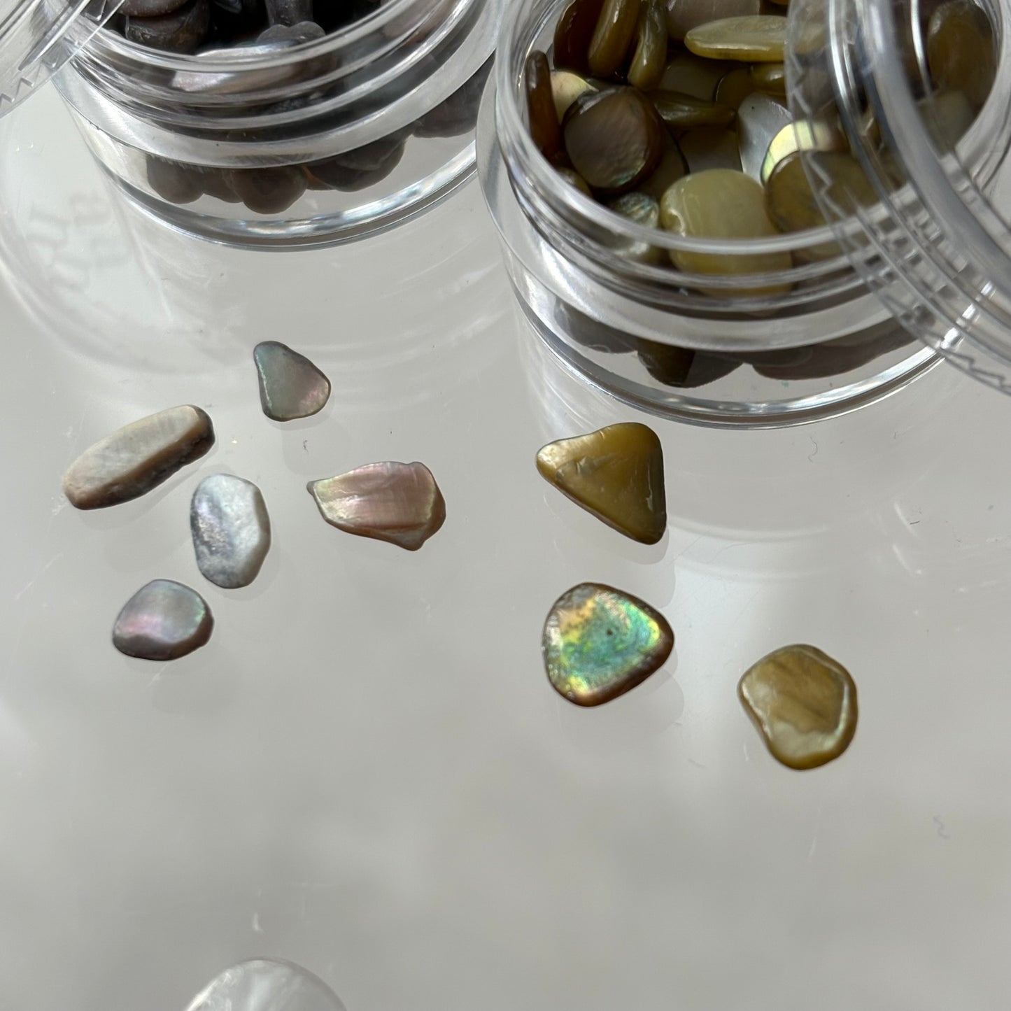 【即納品】	antique shell 2SET LVSN1329