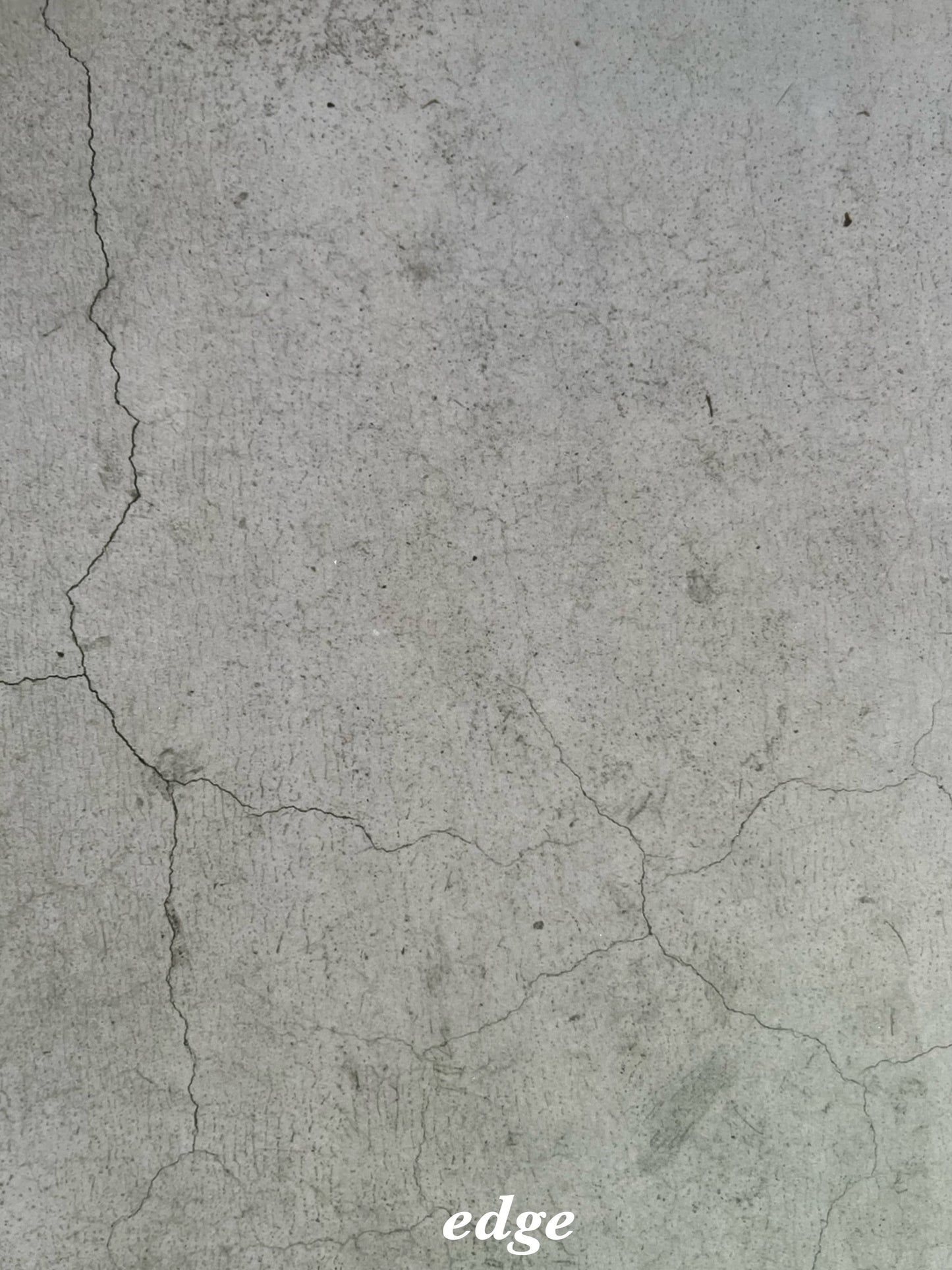 [Ready to ship] edge doriginal taste (OLl) large size natural A3size photogenic sheet 2set LVS123LOLI