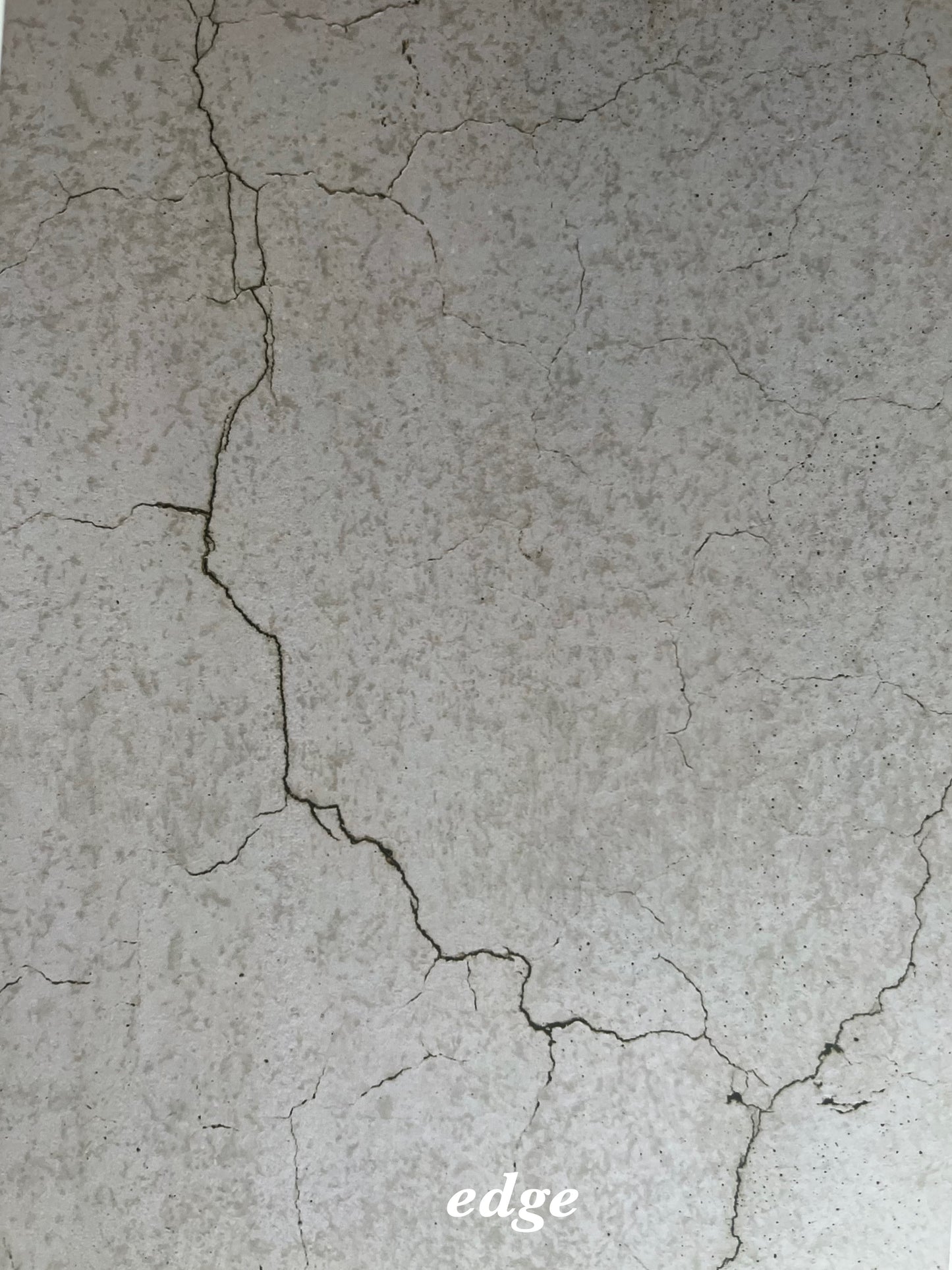 [Ready to ship] edge doriginal taste (OLl) large size natural A3size photogenic sheet 2set LVS123LOLI