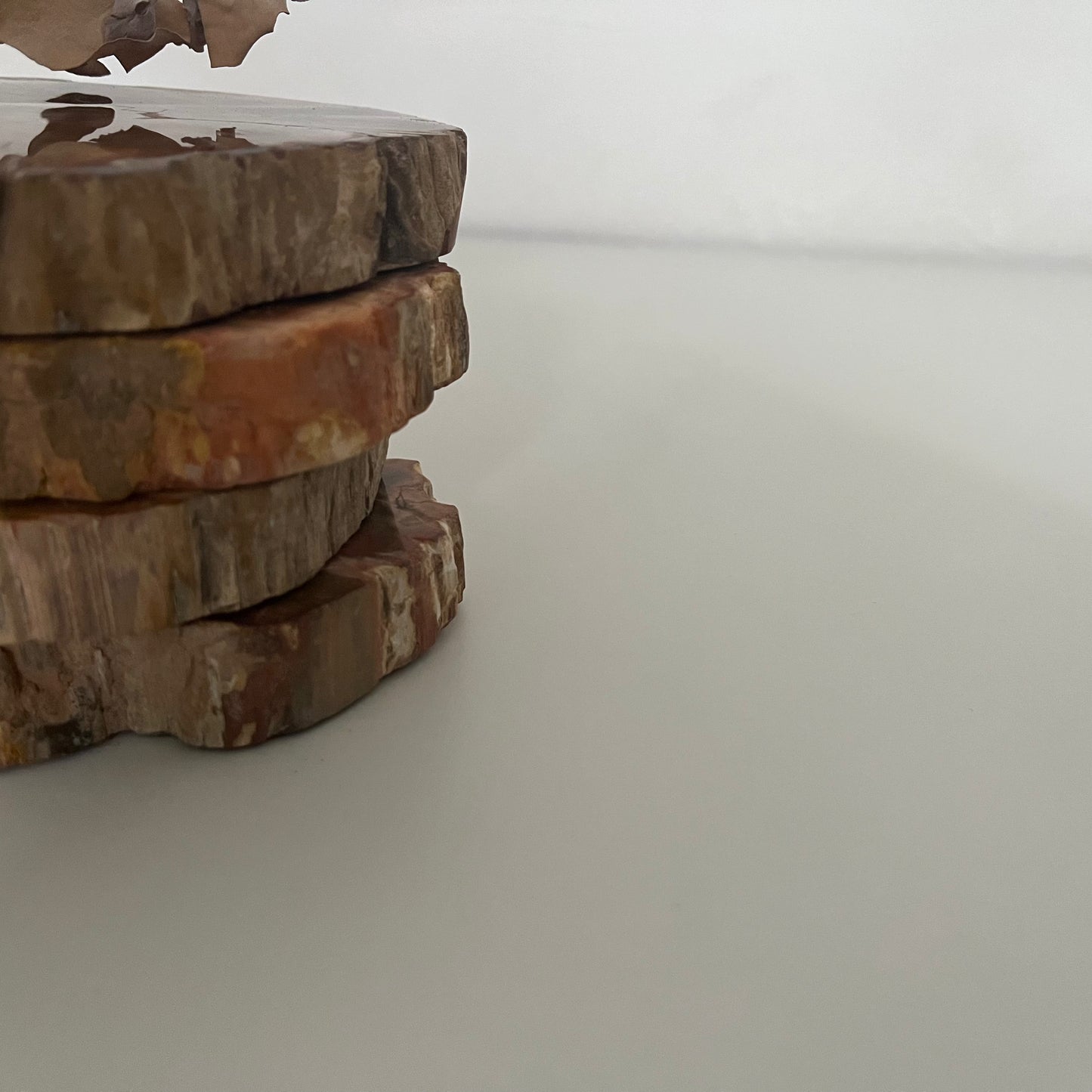 【即納品】petrified wood  LVS823