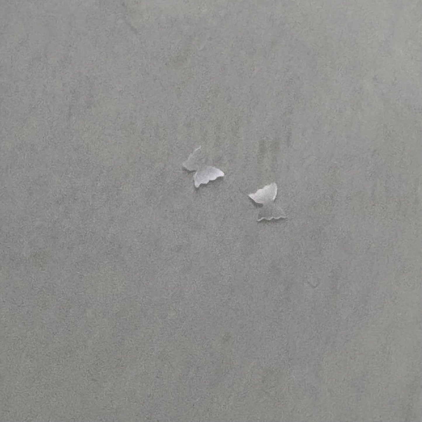 【即納品】極薄 hologram motif 4set ホログラム LVSN1310SET4