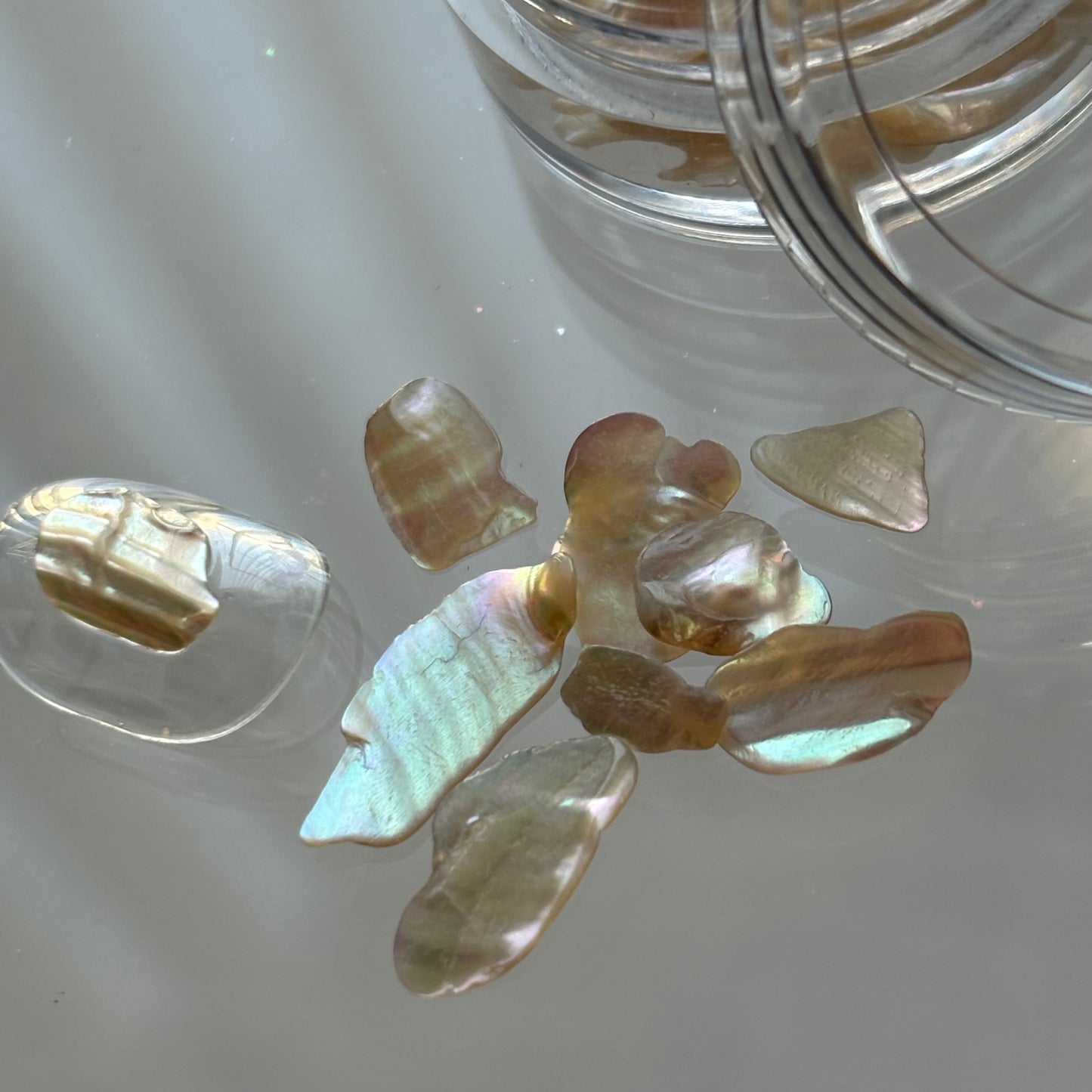 【即納品】	natural shell beige Lsize LVSN1324L