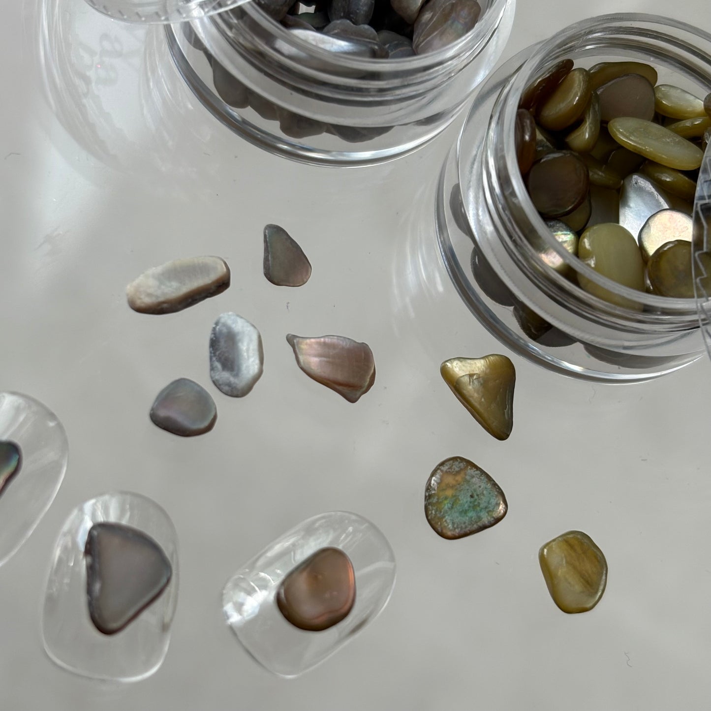 【即納品】	antique shell 2SET LVSN1329