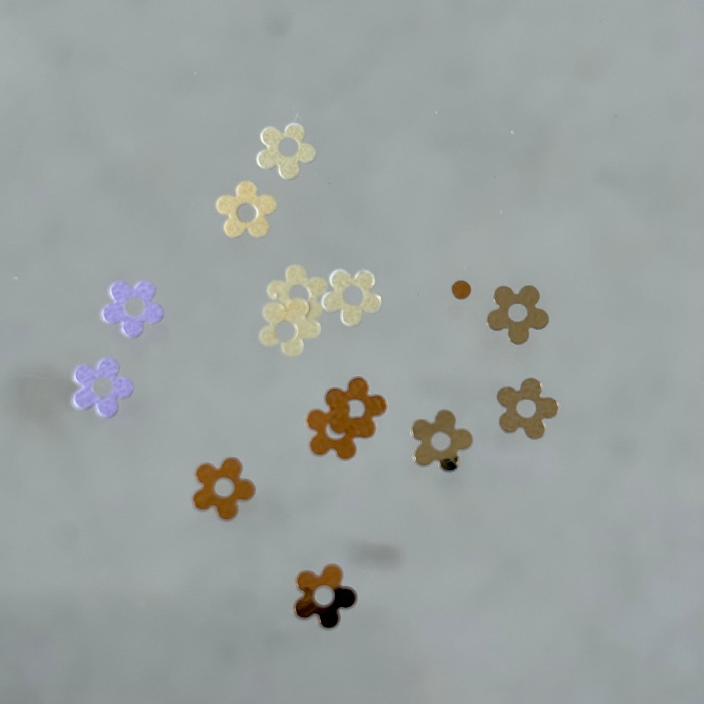 【即納品】	flower hologram 11set  LVSN1308F ホログラム