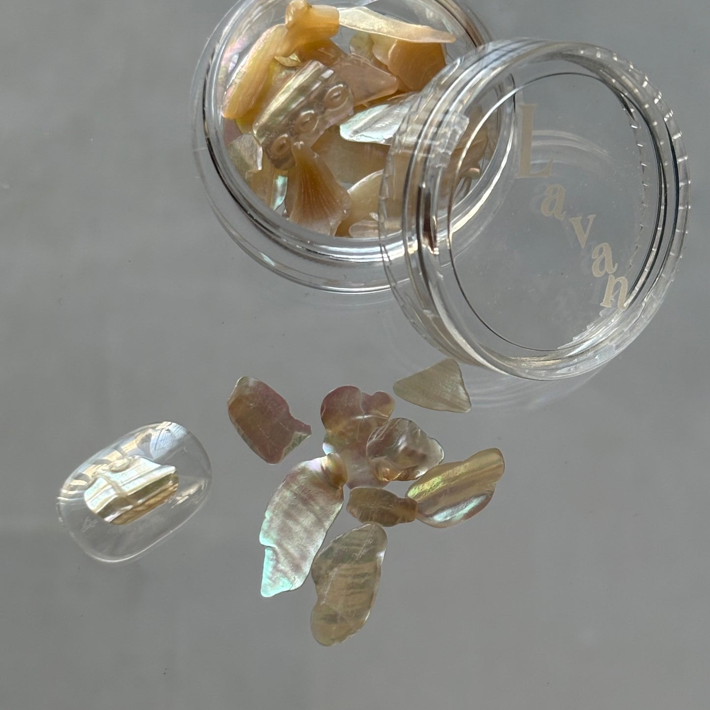 【即納品】	natural shell beige Lsize LVSN1324L