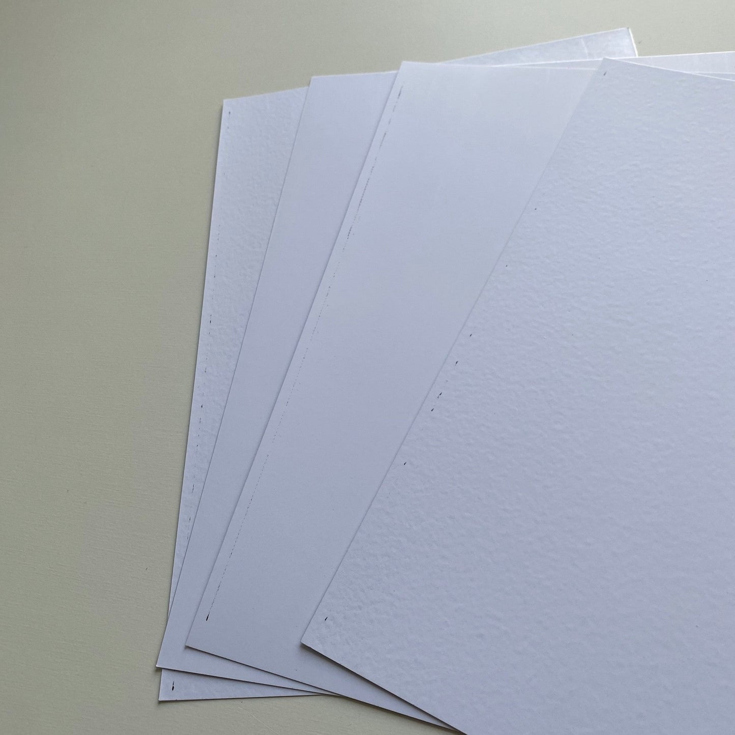 [Ready to ship] edge doriginal taste (OLl) large size natural A3size photogenic sheet 2set LVS123LOLI